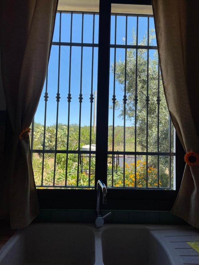 La Casetta Degli Ulivi Con Piscina Menfi Bagian luar foto